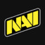 Team Awä̂rds Natus Vincere