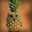 pineowl