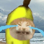 香蕉猫bananacat