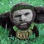 Moonypt