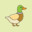 Amicable Duck