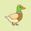 Amicable Duck