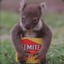 KoalaVegemite