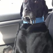 Krook - steam id 76561198068393087