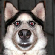 Smile Dog
