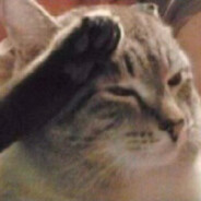 母猪的产后护理