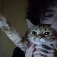 узник системы