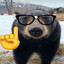 OZYBEARDIAZ