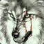 Blood wolf