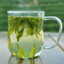 GreenTea