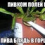 Limon4ik