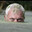Jeremy Wade