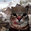 pabello skins.army