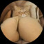 KITTLER