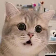 大黄蜂暴打霸天虎