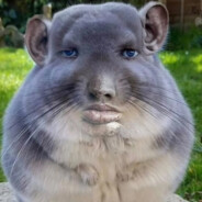 KatoFTW's avatar