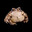 sapovich_