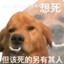 迢迢