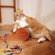 中午的鸡晚上吃