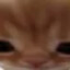 Kitty 🍌