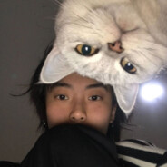 我的牛牛你来吃