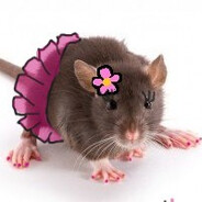 rato