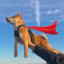 SuperShiba