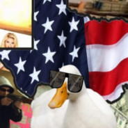 TexasDuck™