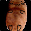 PotatoCat