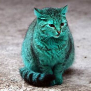 Wild Cat