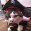 Gato Pirata