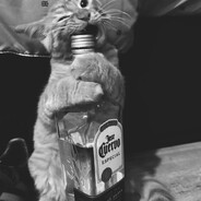 kiki