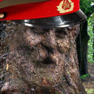 Товарищ Дуб