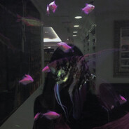 ᲼᲼᲼᲼᲼᲼᲼᲼᲼᲼