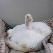 这个星期日你有空吗