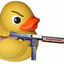 Duck_iwnl