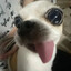 luooqy1