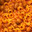 Spaghetti-O's's Avatar