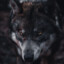 EvilM
