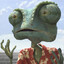 SEB_armadillo
