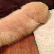 Головач Лена