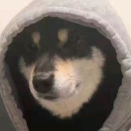 这只猪ye会沉塘...