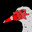Muscovy duck