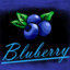 Bluberry