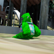 Player Avatar
