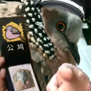 名字最多这么长