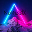 1NomadX