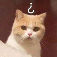 Wss ☛ №.「❶」