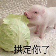 魔法奶糖 i