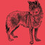 The Jackal